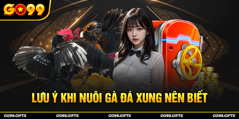 Lưu ý khi nuôi gà đá xung nên biết